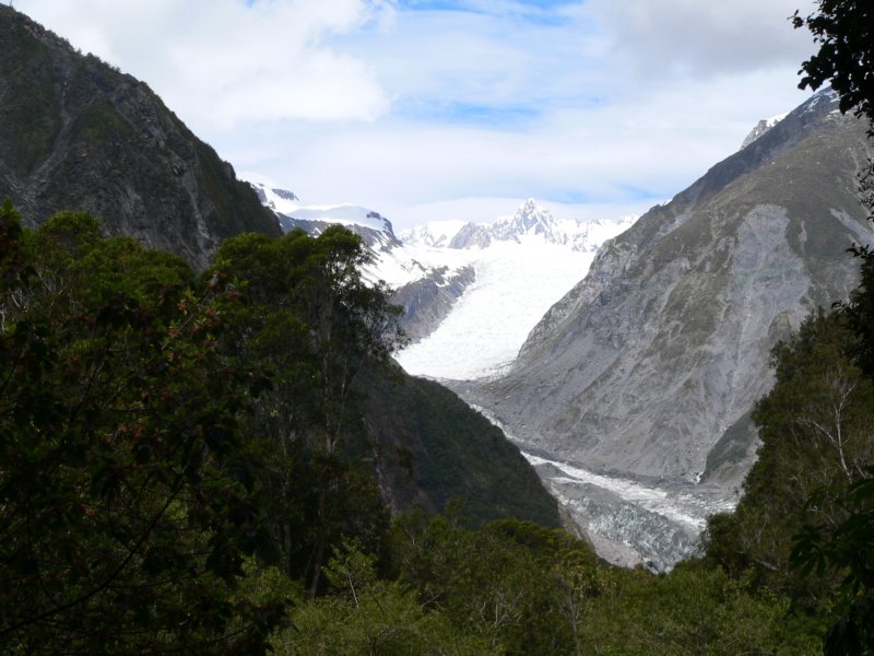 foxglacier.jpg